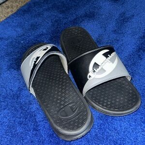 Champions slides
